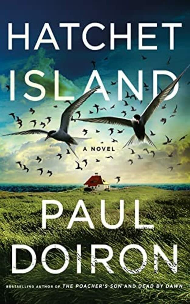 Hatchet Island: A Novel