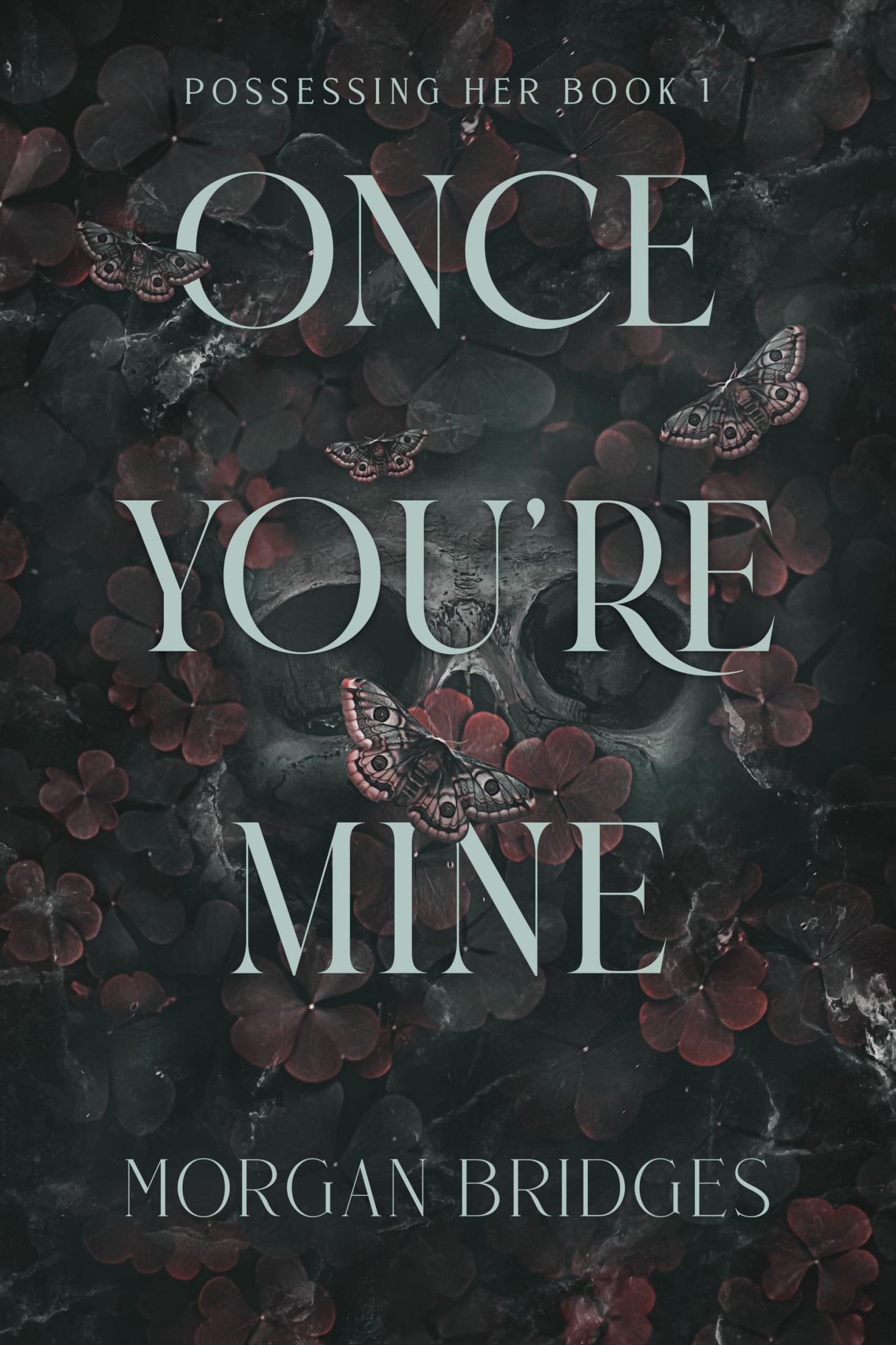 Once You're Mine: A Dark Stalker Romance