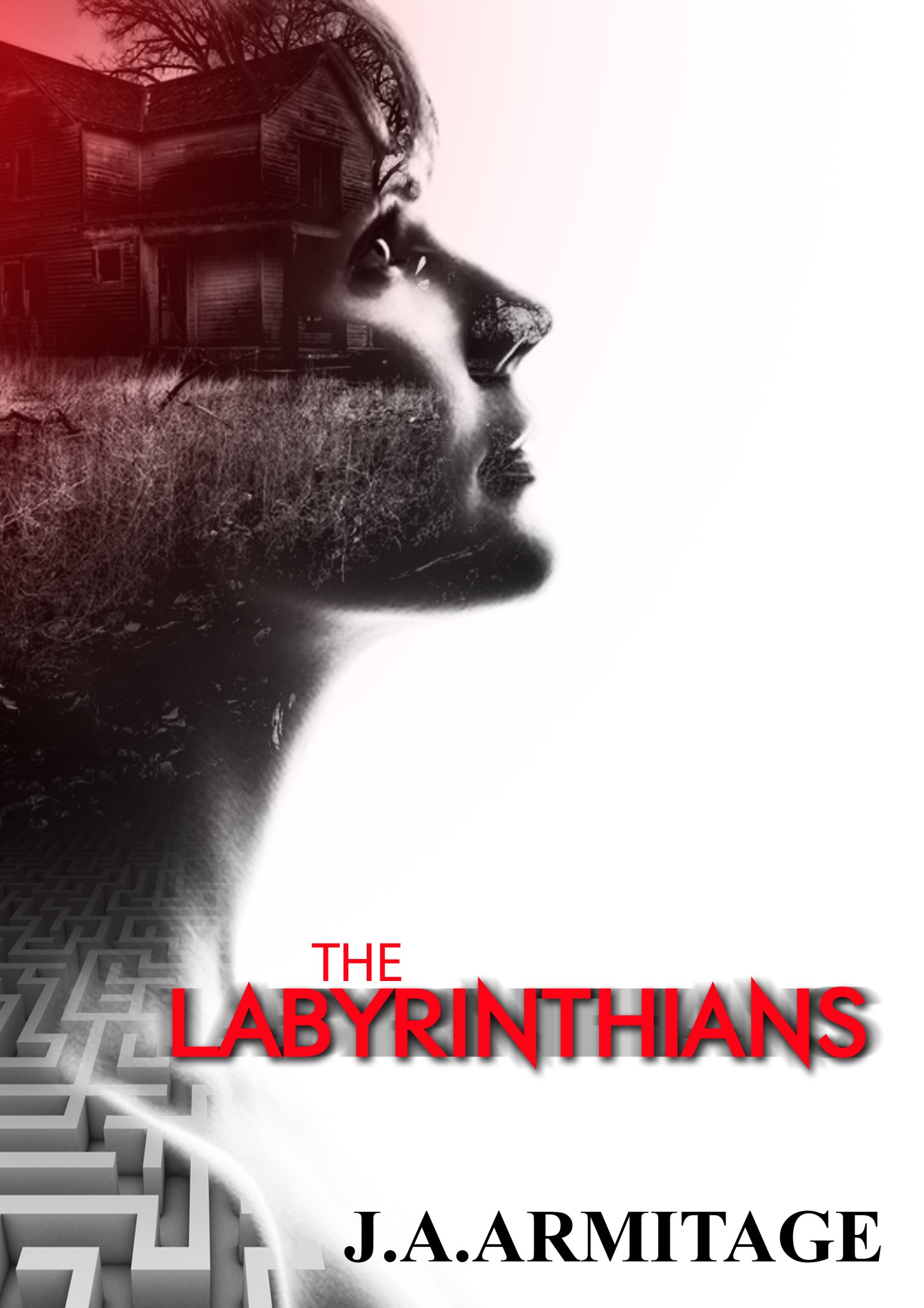 The Labyrinthians