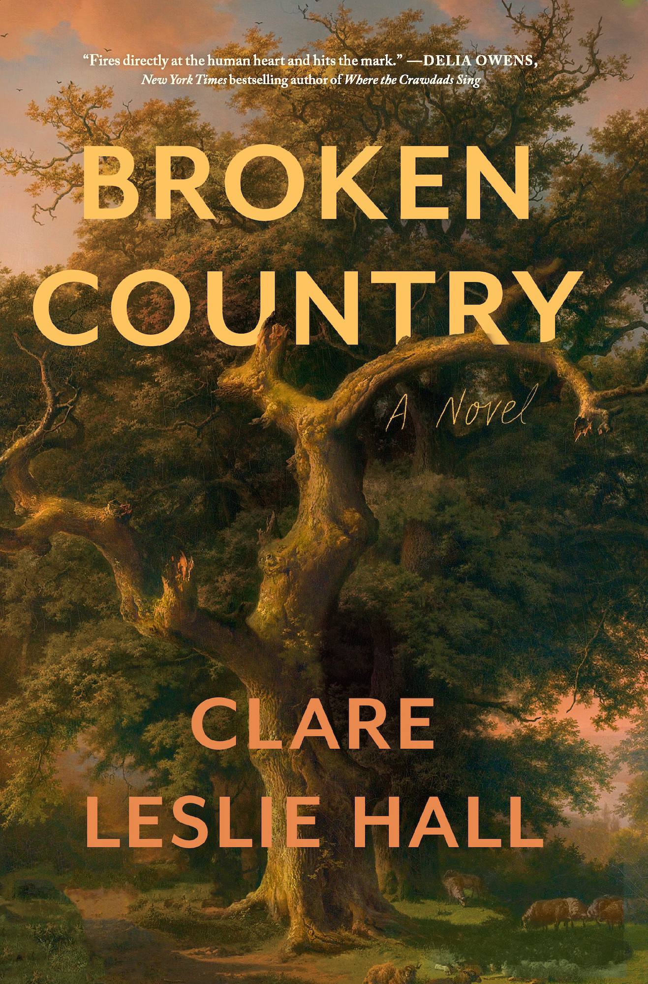 The Broken Country: On Trauma, a Crime, and the Continuing Legacy of Vietnam