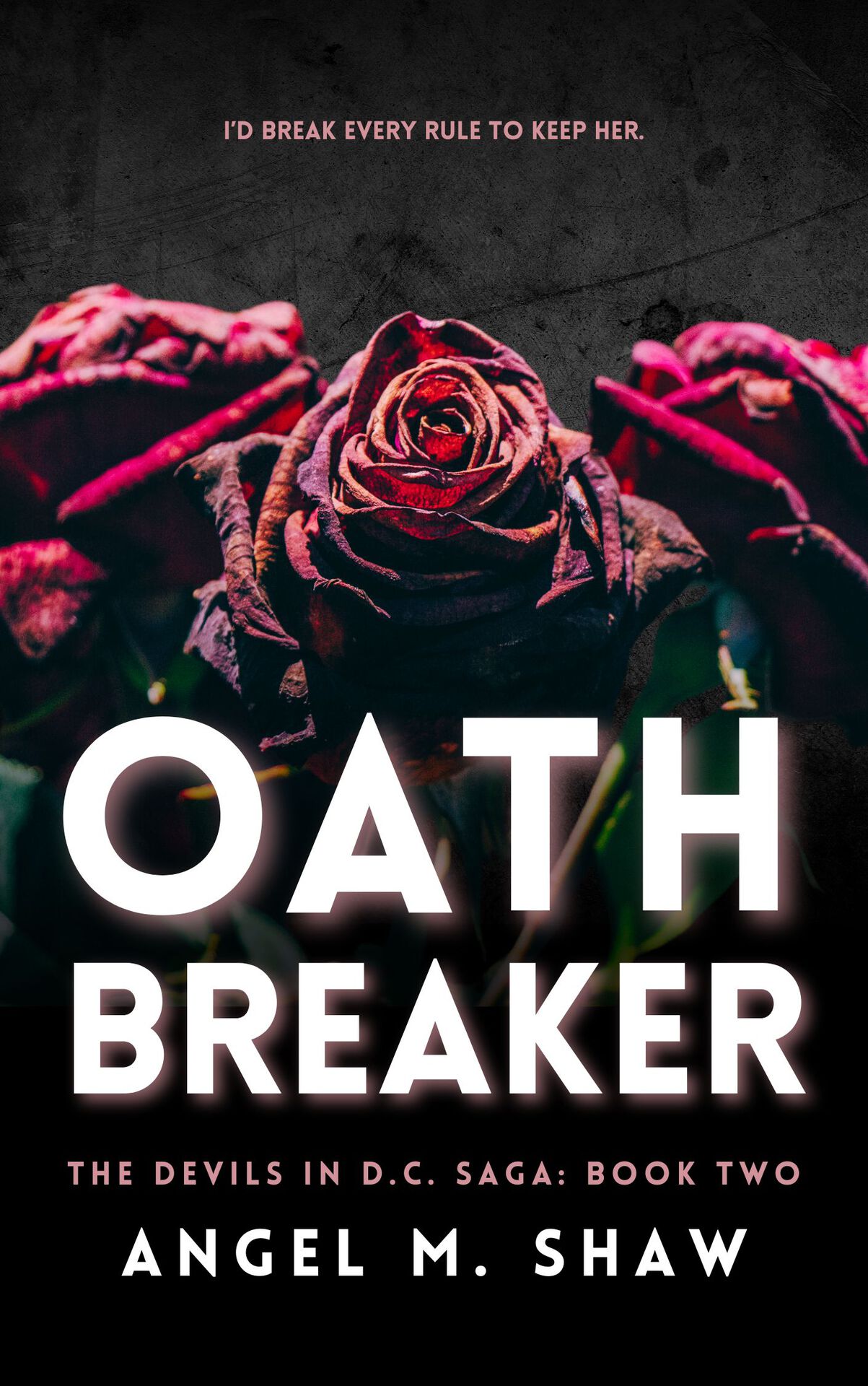 Oathbreaker: A Dark Billionaire Romantic Suspense (The Devils in D.C. Book 2)