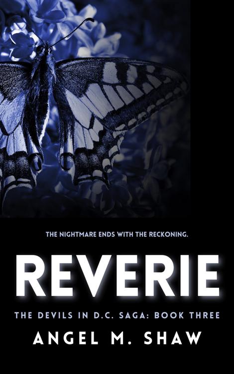 Reverie: A Dark Billionaire Romantic Suspense (The Devils in D.C. Book 3)