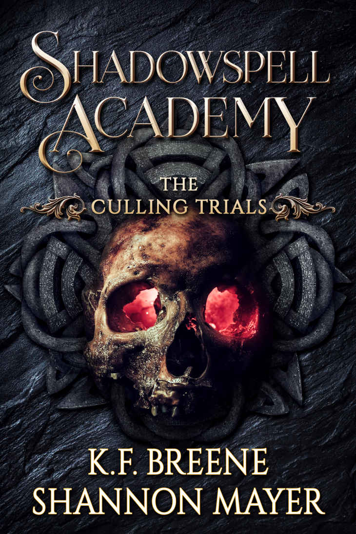 Shadowspell Academy: The Culling Trials (Book 2)