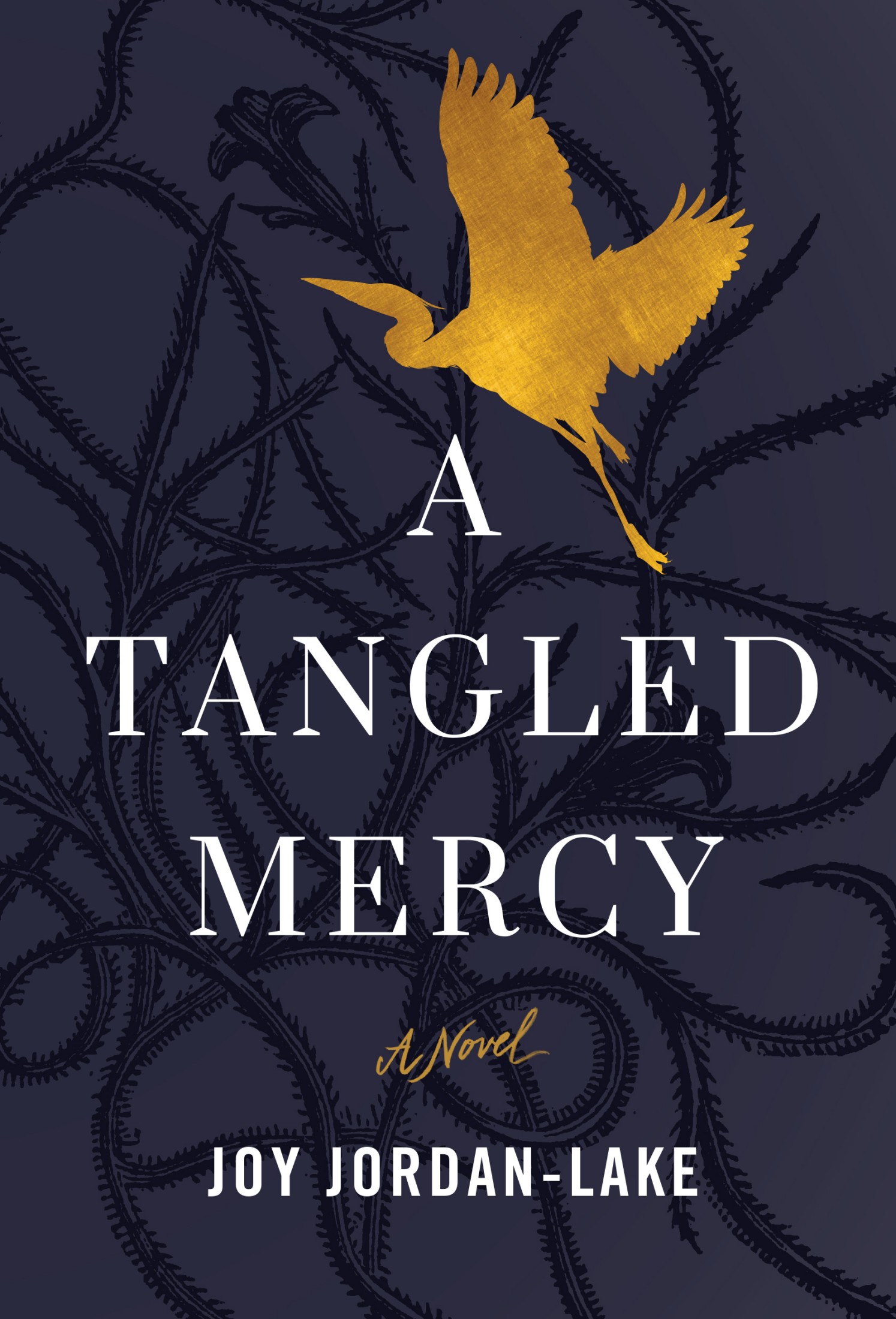 A Tangled Mercy: A Novel