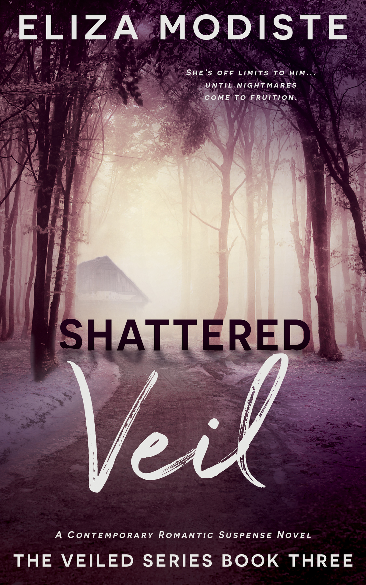 Thinly Veiled: A New Start Comedic Suspense Romance Novel